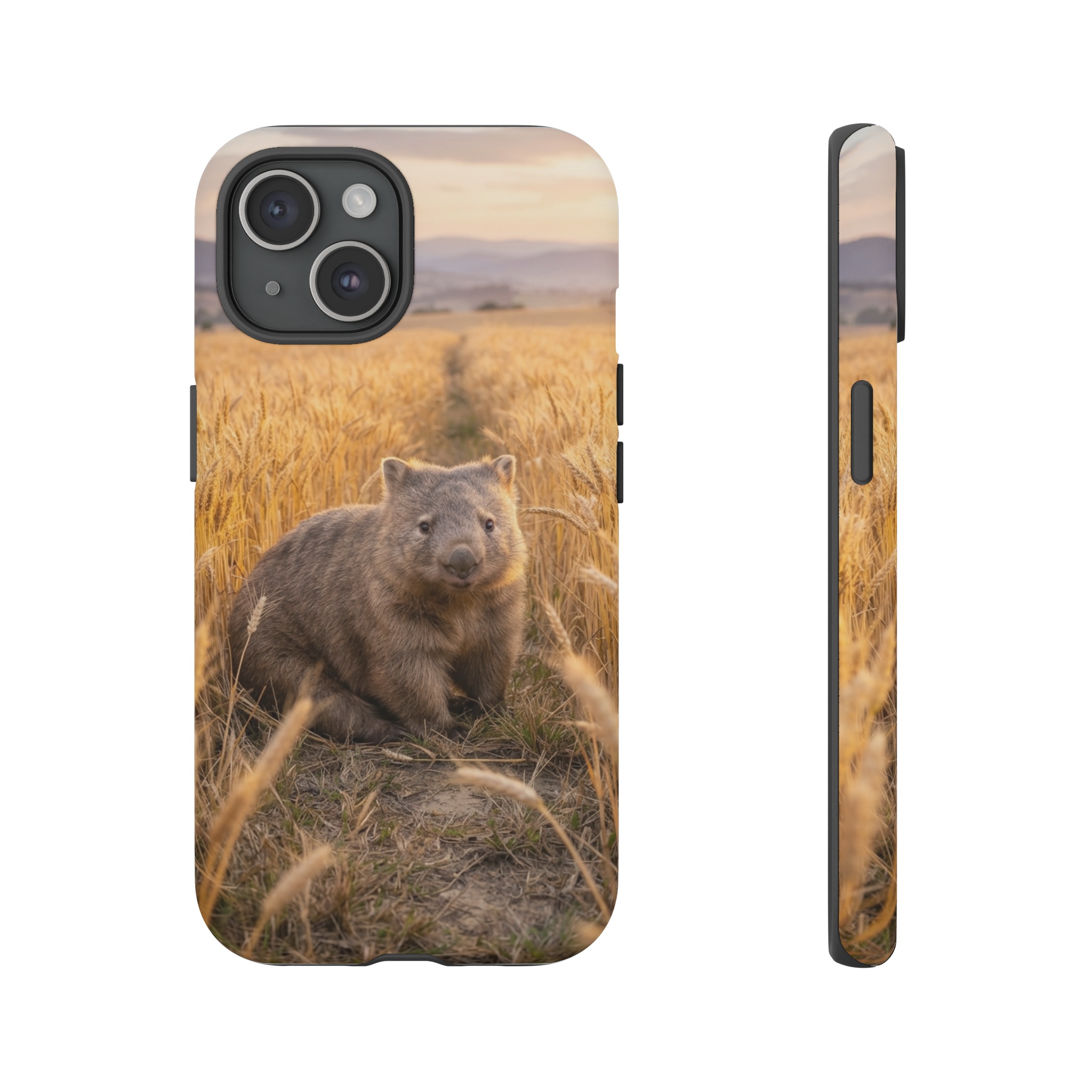 A curious wombat sits amid a field of golden wheat, its round body illuminated by soft sunrise light, while distant hills fade into muted purples.
