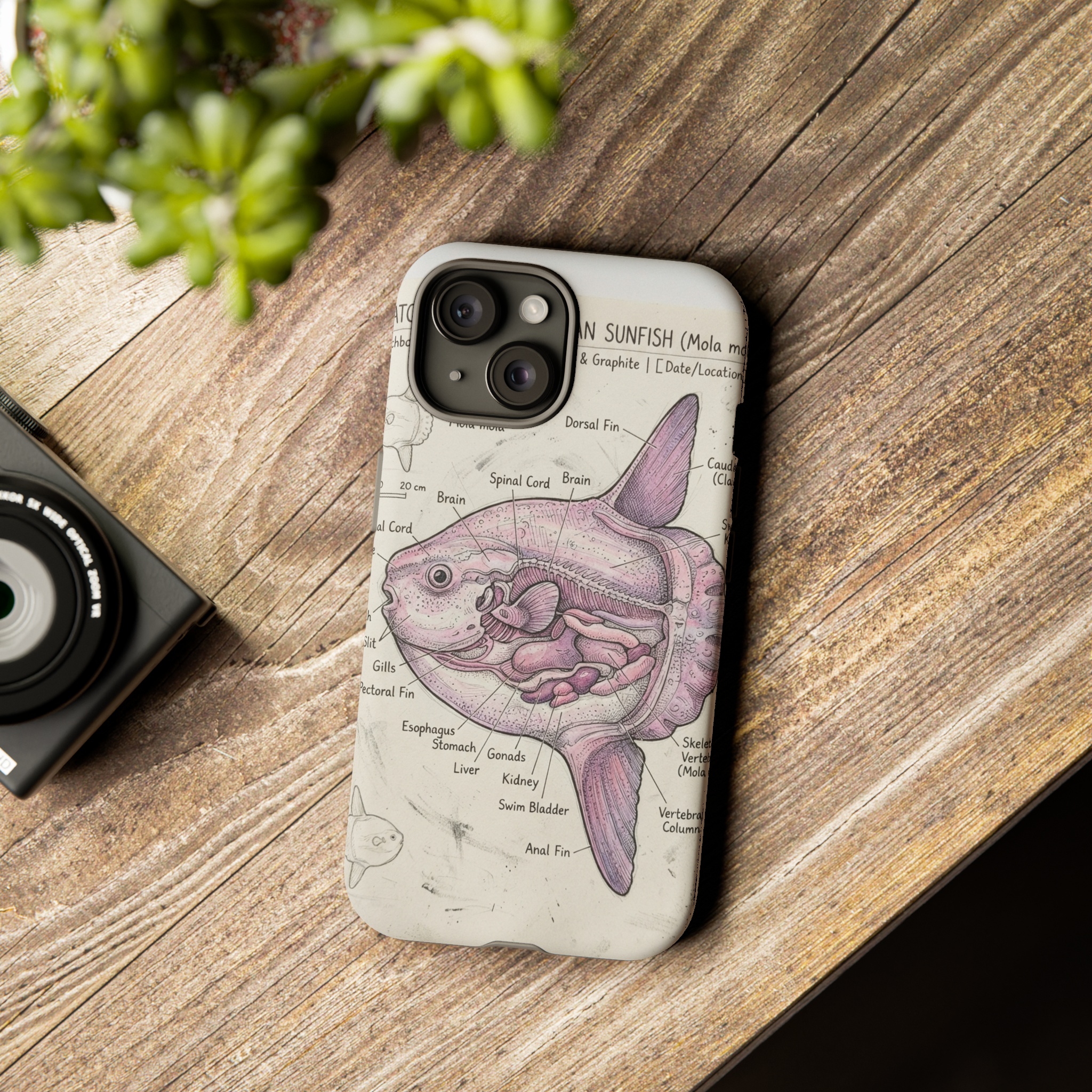 iPhone 15