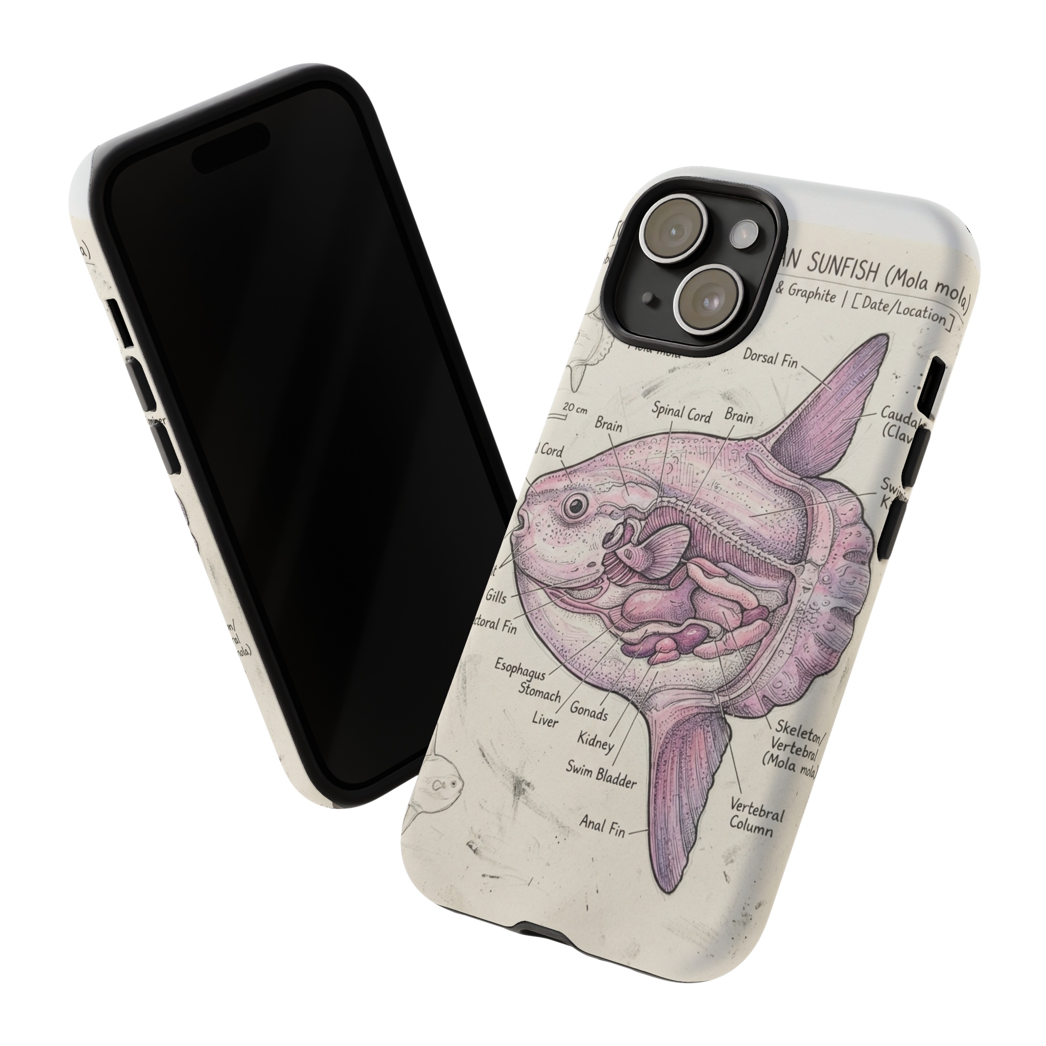 iPhone 15