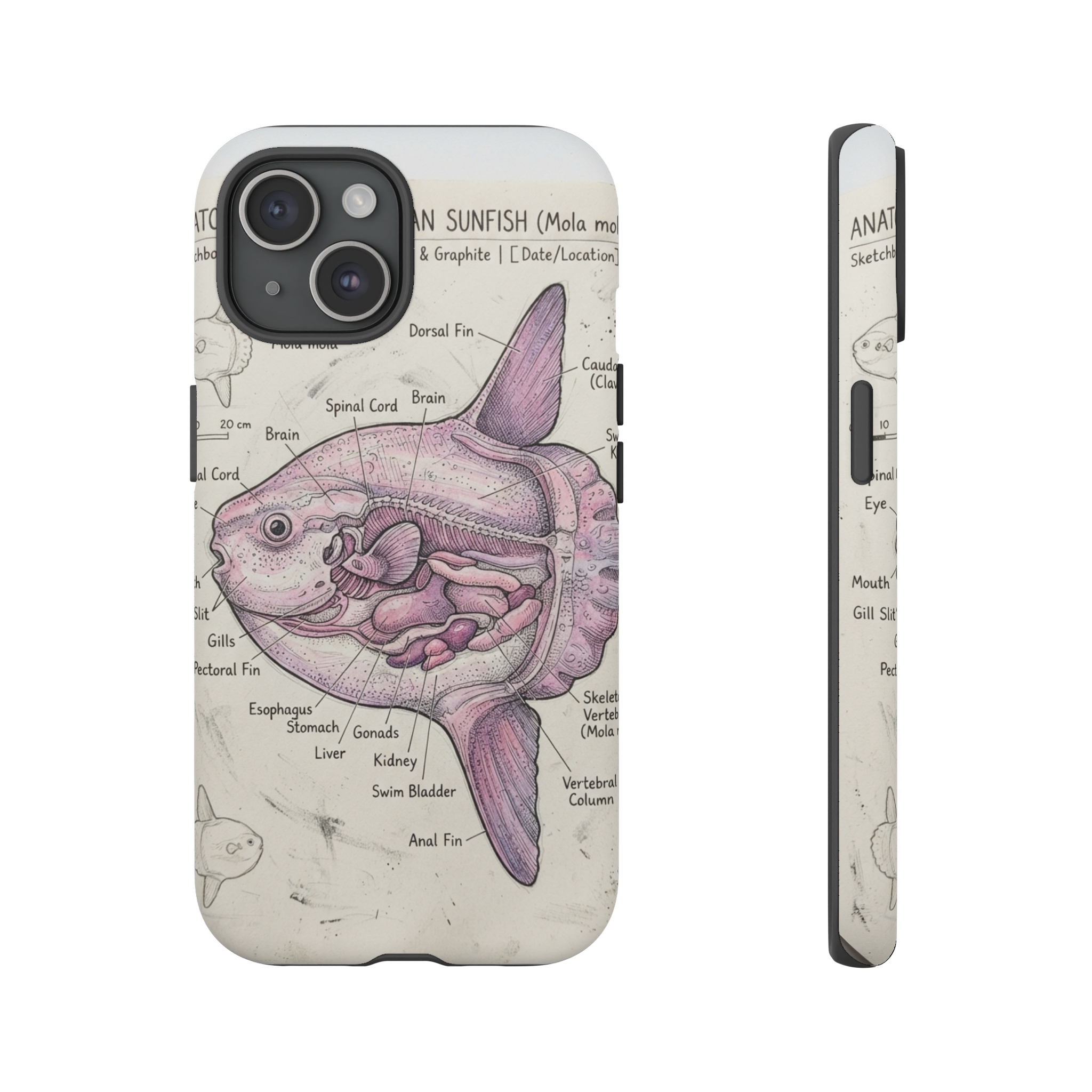 iPhone 15